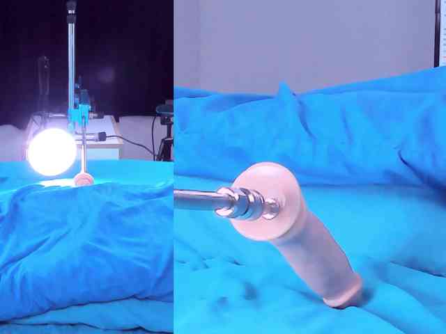 Videl-Sweett webcam