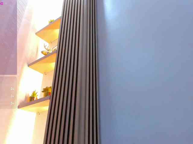 Naomi-Viper webcam