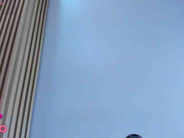 Naomi-Viper webcam