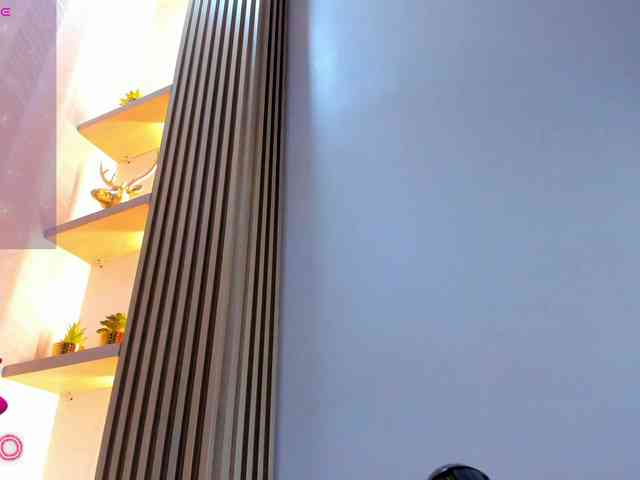 Naomi-Viper webcam