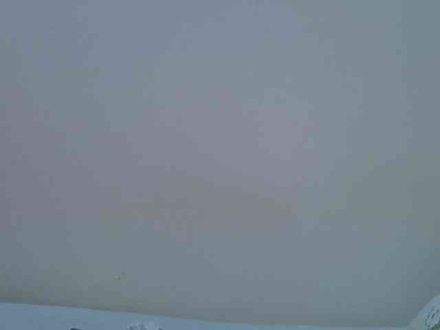 Candylily1 webcam