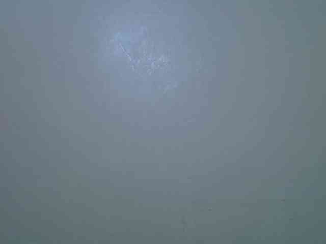 Candylily1 webcam