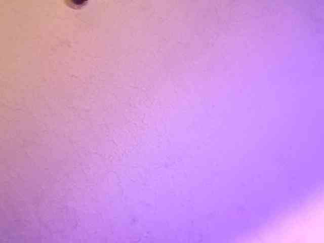 Lapizlazuly1312 webcam