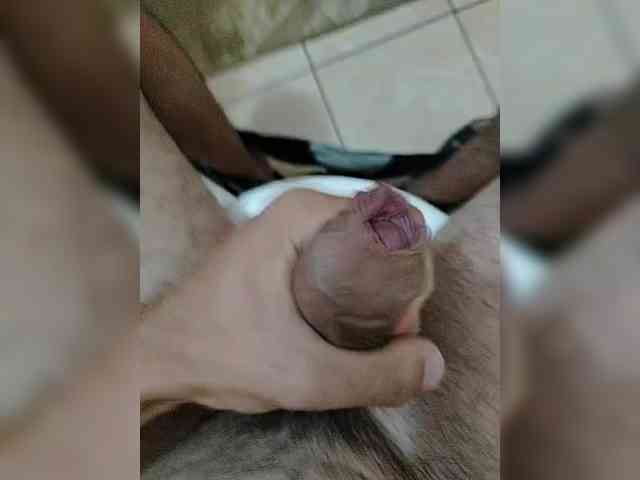 Bigdick155 Bigdick155