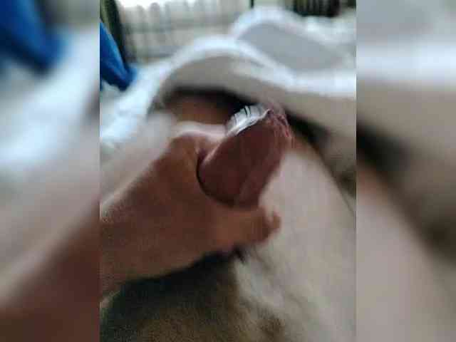 Bigdick155