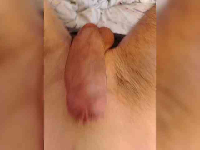 Bigdick155