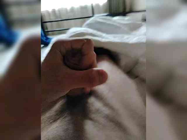 Bigdick155