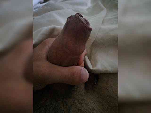 Bigdick155