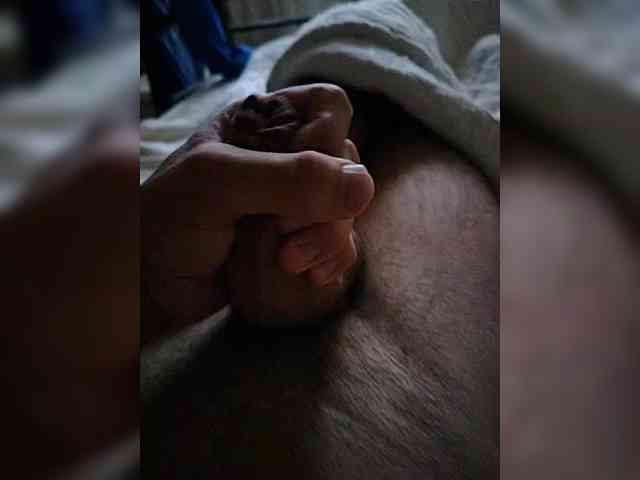 Bigdick155