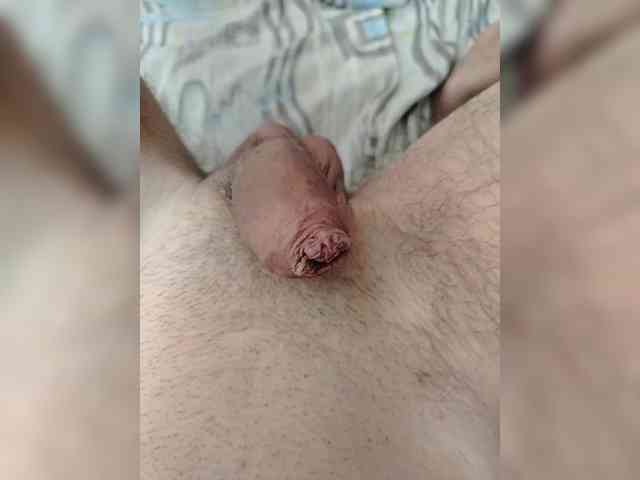 Bigdick155 Sex Cam Show