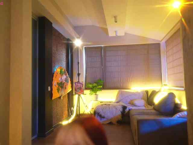 suk-ki webcam
