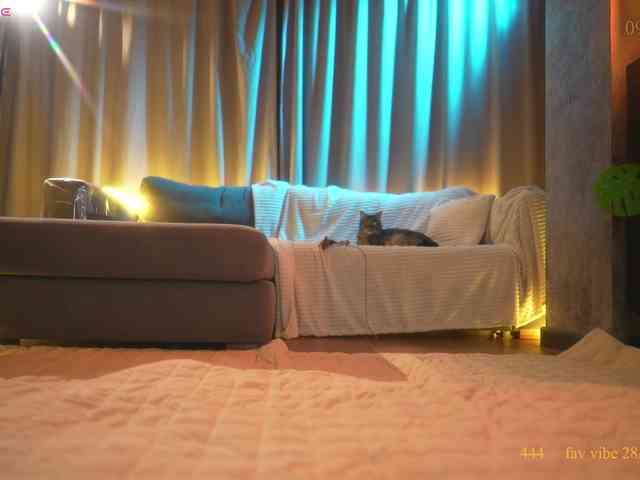 suk-ki webcam