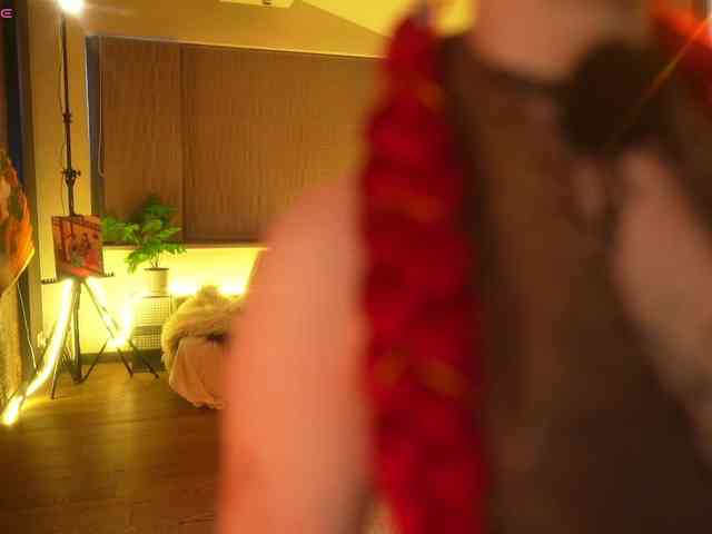 suk-ki webcam