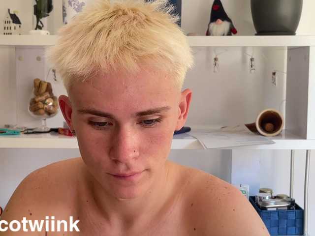 twiinknico