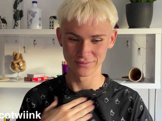 twiinknico