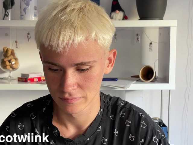 twiinknico