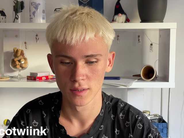 twiinknico
