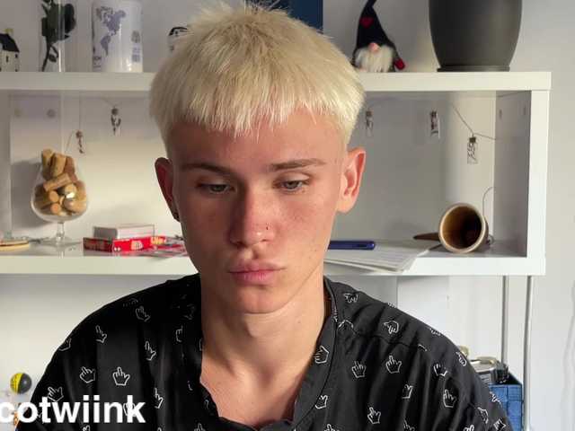 twiinknico