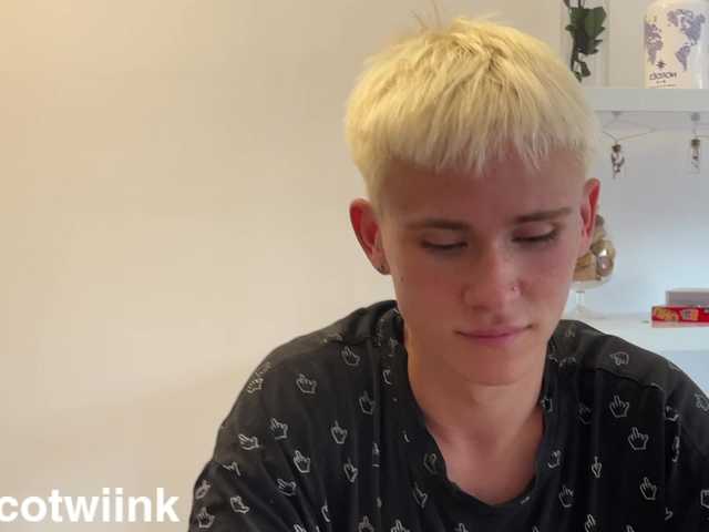 twiinknico
