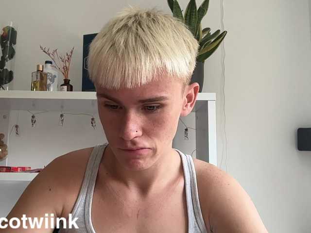 Twiinknico