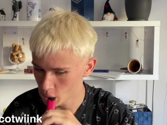 twiinknico