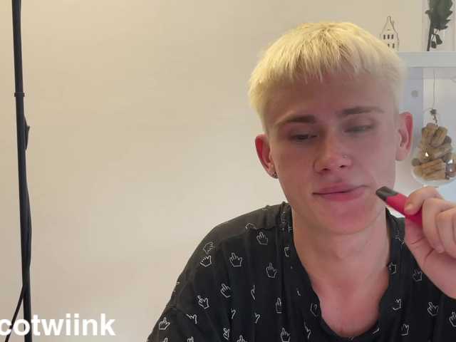twiinknico