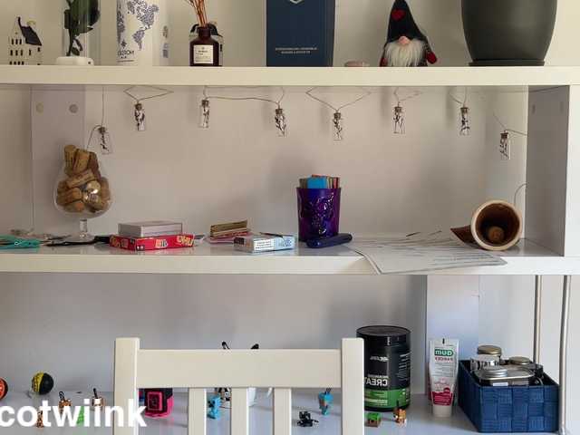 twiinknico