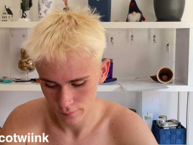 twiinknico