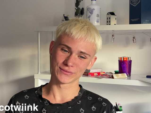 twiinknico