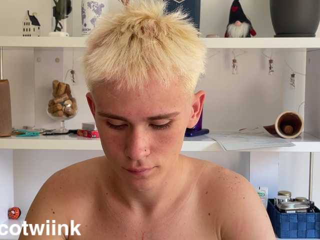 twiinknico