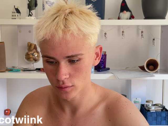 twiinknico