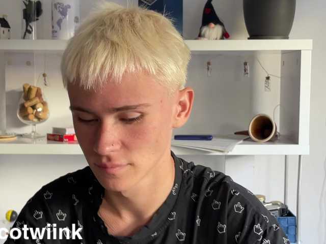twiinknico