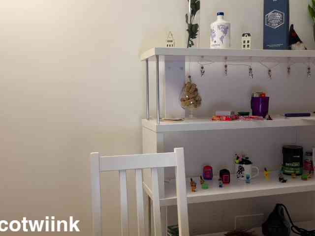 twiinknico
