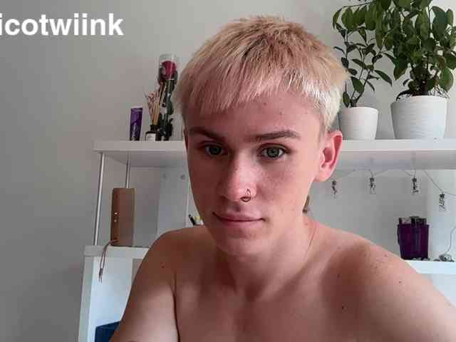 twiinknico