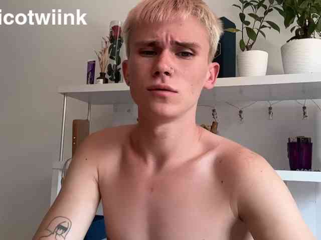 twiinknico