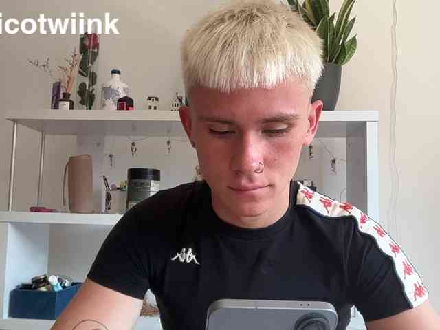 twiinknico
