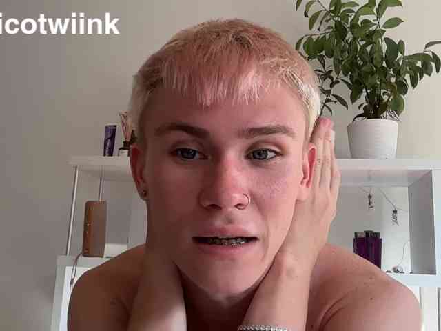 twiinknico