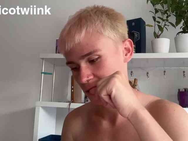 twiinknico