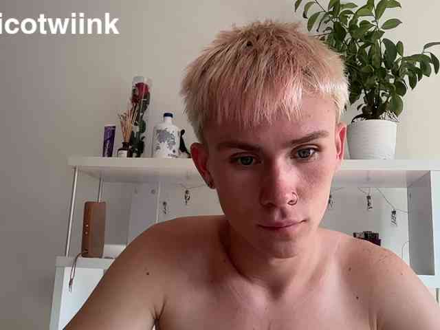twiinknico