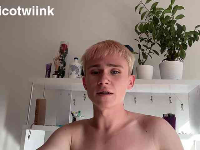 twiinknico