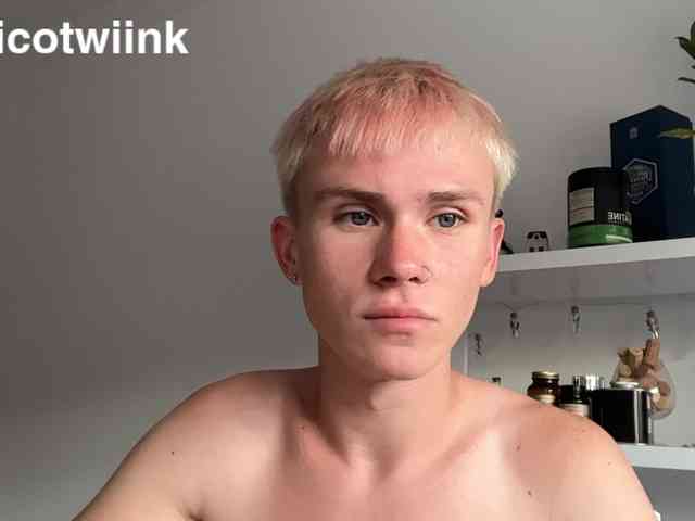 twiinknico