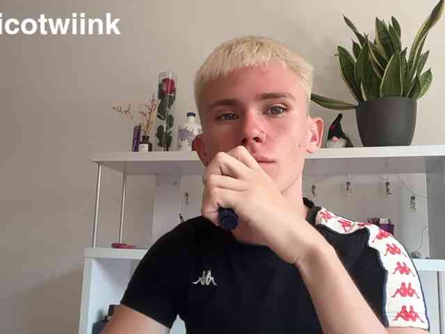 twiinknico twiinknico
