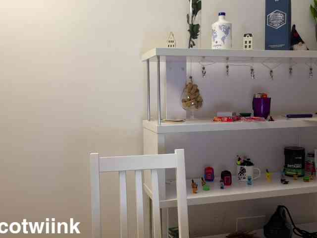 twiinknico