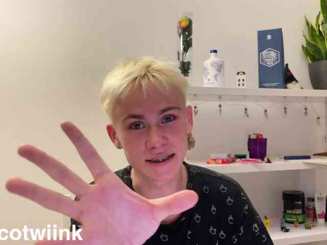 twiinknico