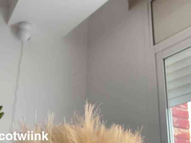 twiinknico