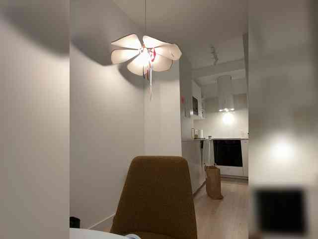 YourDreamWoman