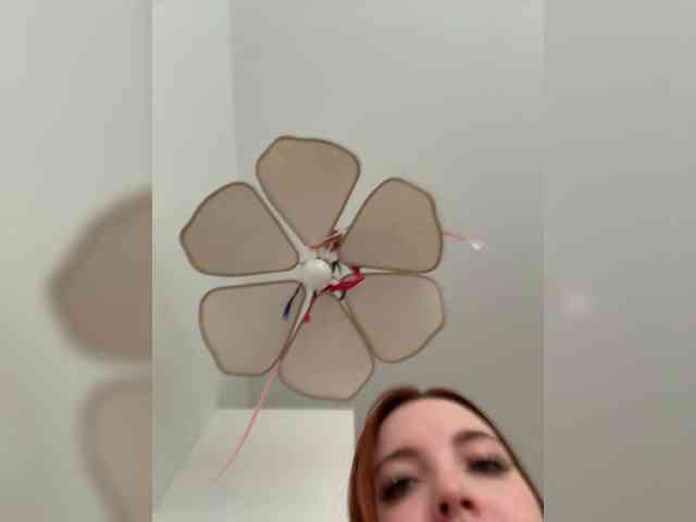 YourDreamWoman webcam