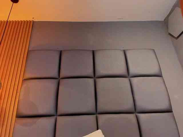 RUBY-ROSS webcam