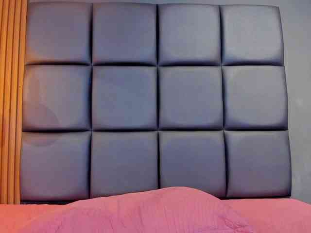 RUBY-ROSS webcam