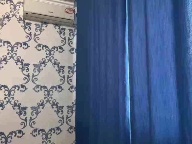 DelphaDiop webcam